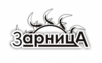 Молодежное движение Хабаровской епархии приглашает  принять участие в «Зарнице»