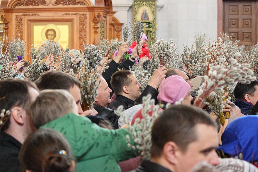 Вербное воскресенье в Дивеево